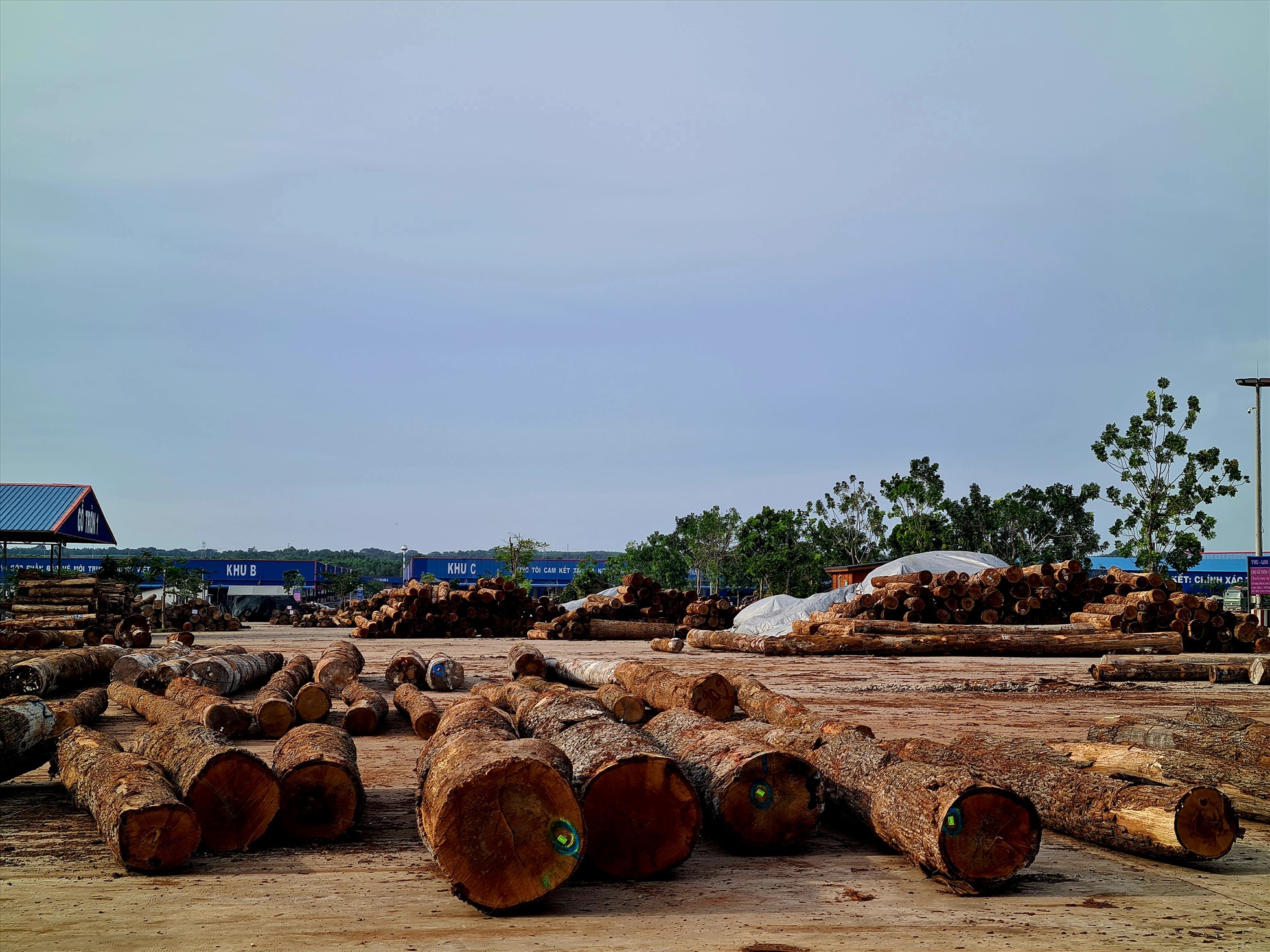 Với lợi thế vùng, có thể đẩy mạnh phát triển kinh tế, nông, lâm nghiệp khu vực Đông Nam Bộ đóng góp vào GDP cả nước. Ảnh: Vũ Long