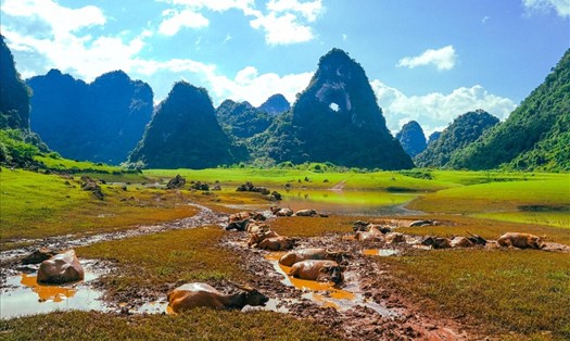 Tuyến thứ 4 này có nhiều giá trị di sản địa chất tầm quốc tế gắn liền với giá trị di sản lịch sử, văn hóa. Ảnh: Tạ Quang