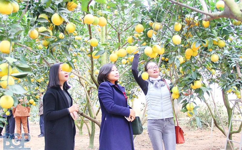 Ảnh: Sở thông tin và truyền thông Bắc Giang