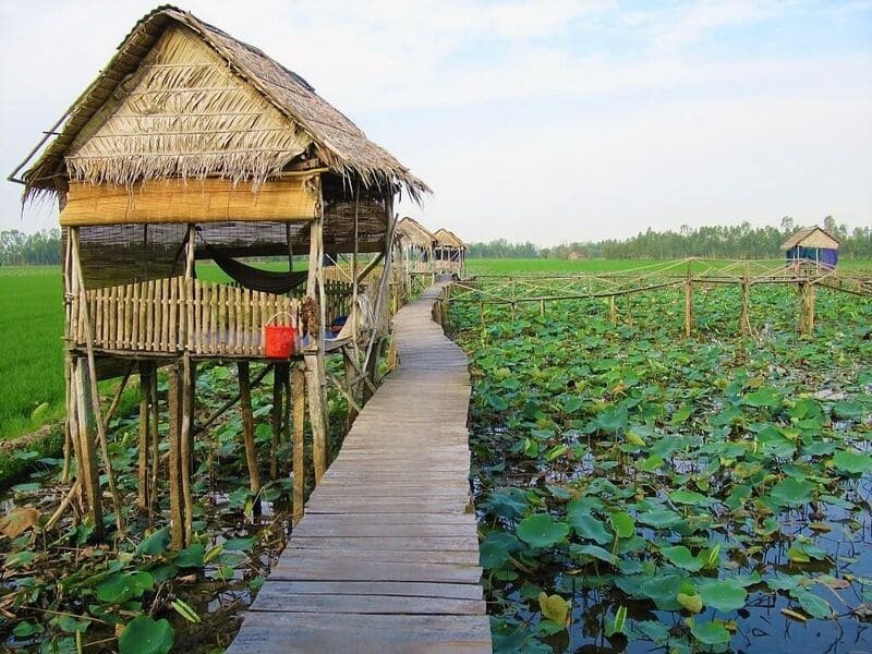 7 homestay Đồng Tháp view đẹp khiến du khách mê mẩn