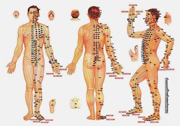 Huyệt vị trên cơ thể người được phân bố trên hệ kinh lạc, là nơi ra vào của nhiều loại khí: vệ khí, dinh khí và cả tà khí. Ảnh: Từ Ân