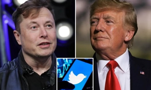 Ông Elon Musk đã lên tiếng "bênh" ông Donald Trump và cho rằng quyết định cấm tài khoản của cựu tổng thống Mỹ là sai lầm của Twitter. Ảnh: AFP