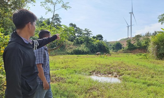 Các thửa ruộng nước phải bỏ hoang ở xã Húc, vì bị bãi thải của dự án điện gió bồi lấp cả lớp đất đá. Ảnh: Hưng Thơ