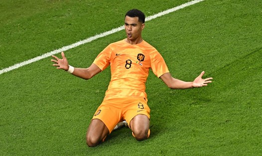 Hà Lan chỉ cần một trận hòa là có thể vượt qua vòng bảng World Cup 2022. Ảnh: AFP.