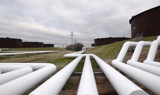 Dự trữ xăng dầu của Mỹ giảm mạnh 2,6 triệu thùng, cao hơn nhiều mức dự báo giảm 1,4 triệu thùng. Ảnh: Reuters.