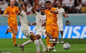 Video bàn thắng trận Hà Lan vs Qatar