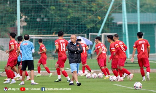 Huấn luyện viên Park Hang-seo đánh giá cao tầm quan trọng của trận đấu giữa tuyển Việt Nam và câu lạc bộ Borussia Dortmund. Ảnh: VFF