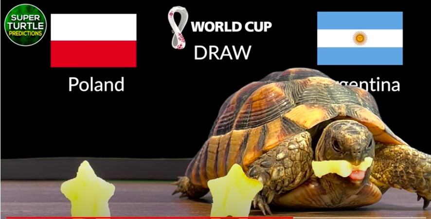 Dự đoán vui trận Ba Lan vs Argentina, bảng C World Cup 2022