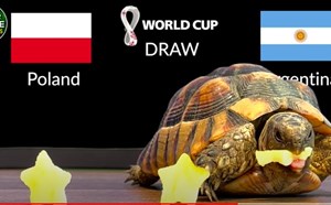 Dự đoán vui trận Ba Lan vs Argentina, bảng C World Cup 2022