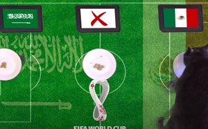 Dự đoán vui trận Saudi Arabia vs Mexico, bảng C World Cup 2022