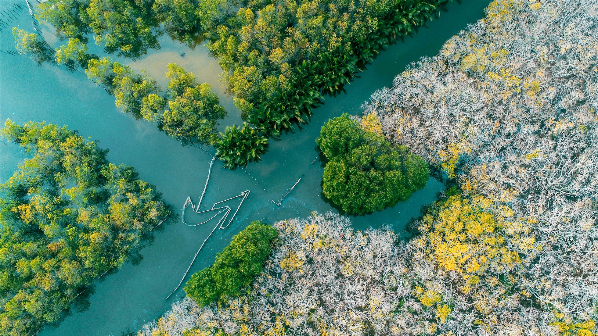 Sắc màu Rú Chá nhìn từ trên cao. Ảnh: Lê Tuấn