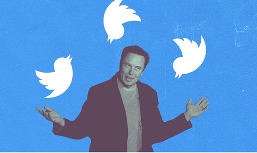 Sau khi Elon Musk tiến hành kế hoạch sa thải, Twitter tại Ấn Độ đã mất tới 90% nhân lực. Ảnh chụp màn hình
