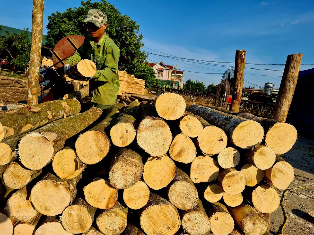 Thủ tục giữa các bộ vênh nhau, doanh nghiệp ngành gỗ khó khăn trăm bề
