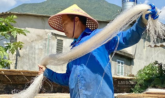 Người dân làng nghề miến dong Bình Lư nhộn nhịp chuẩn hàng phục vụ Tết Nguyên đán. Ảnh: PV
