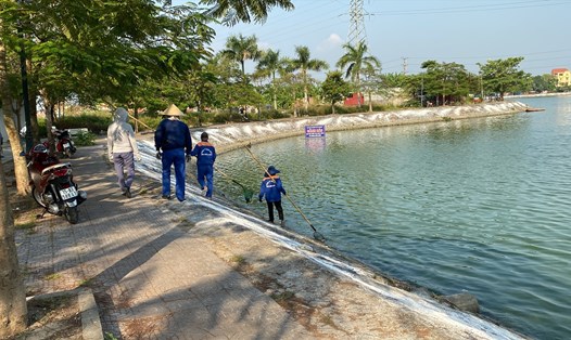 Công nhân công ty Thoát nước Hải Phòng đã vớt hết cá chết trên hồ Phương Lưu. Ảnh: MC