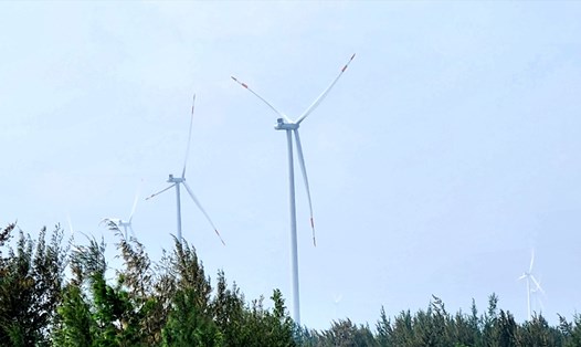 Hệ thống điện gió được đầu tư tại Quảng Bình. Ảnh: Lê Phi Long