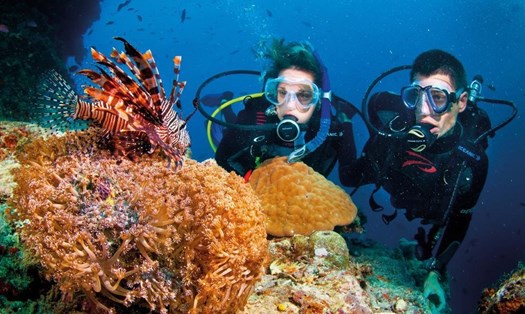 Du khách lặn ngắm san hô tại Côn Đảo. Ảnh: Vườn Quốc gia Côn Đảo.