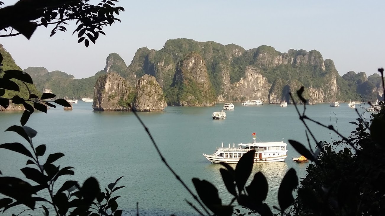 Tàu du lịch vịnh Hạ Long. Ảnh: Nguyễn Hùng