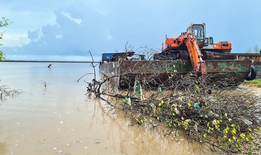 Cà Mau mất đất, mất rừng tương đương 1 xã vì sạt lở bờ biển do ảnh hưởng của biến đổi khí hậu trong 10 năm. Ảnh: Nhật Hồ