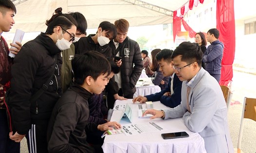 Hàng nghìn học sinh, sinh viên tham gia ngày hội việc làm do Trung tâm Dịch vụ việc làm tỉnh Ninh Bình tổ chức. Ảnh: Diệu Anh