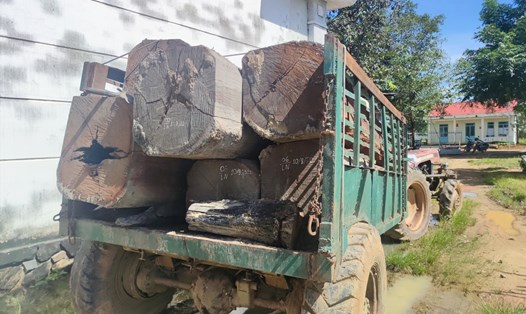 Tang vật trong một vụ phá rừng ở xã Mo Rai, huyện Sa Thầy. Ảnh Thanh Tuấn