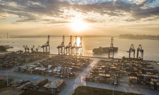 Cảng container quốc tế Dương Phố tại khu phát triển kinh tế Dương Phố ở phía nam tỉnh Hải Nam, Trung Quốc. Ảnh: Xinhua