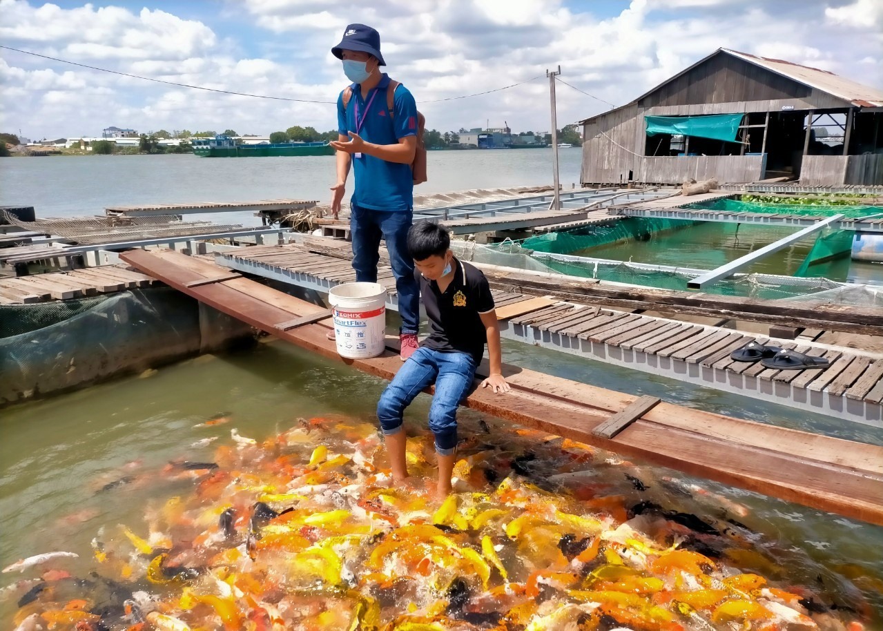 Du khách trải nghiệm du lịch tại bè cá Bảy Bon (khu du lịch Cồn Sơn, TP.CầnThơ). Ảnh: Phong Linh