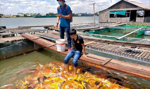 Du khách trải nghiệm du lịch tại bè cá Bảy Bon (khu du lịch Cồn Sơn, TP.CầnThơ). Ảnh: Phong Linh