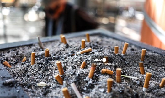 New Zealand cấm bán thuốc lá cho bất kỳ cá nhân nào sinh từ 1.1.2009 trở đi. Ảnh: AFP
