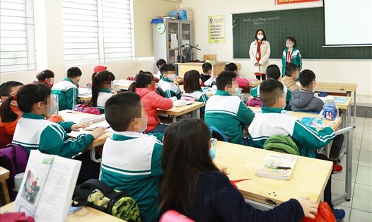 Trong một số trường hợp, giáo viên tiểu học phải thực hiện nâng trình độ chuẩn được đào tạo. Ảnh minh họa: Hải Nguyễn.