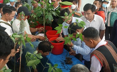 Huyện Nam Trà My, Quảng Nam đã 4 lần tổ chức Lễ hội sâm Ngọc Linh theo quy mô địa phương. Ảnh: T.Thọ
