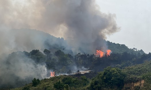 Cháy lớn gây thiệt hại 6ha rừng tại TP Móng Cái, tỉnh Quảng Ninh. Ảnh: Đoàn Hưng