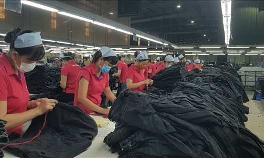 Nhiều đơn vị, doanh nghiệp trên địa bàn tỉnh Ninh Bình đang nỗ lực tạo việc làm ổn định, đảm bảo tiền lương, thưởng Tết cho người lao động. Ảnh: Diệu Anh