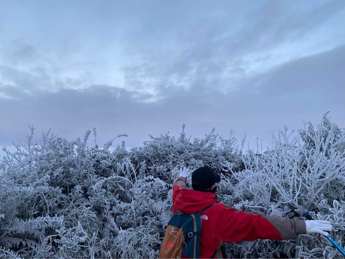 Sương muối, băng giá phủ trắng đỉnh Lảo Thẩn, Lào Cai. Ảnh: Minh Ánh