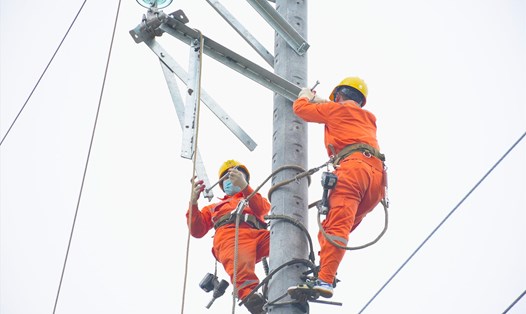 EVNHANOI củng cố các tuyến đường dây để nâng cao độ tin cậy cung cấp điện. Ảnh EVNHANOI cung cấp.