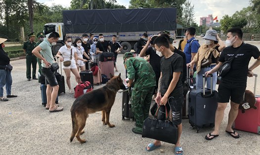 Chó nghiệp vụ được sử dụng để kiểm tra những người nhập cảnh vào TP Hà Tiên. Ảnh Biên phòng cung cấp