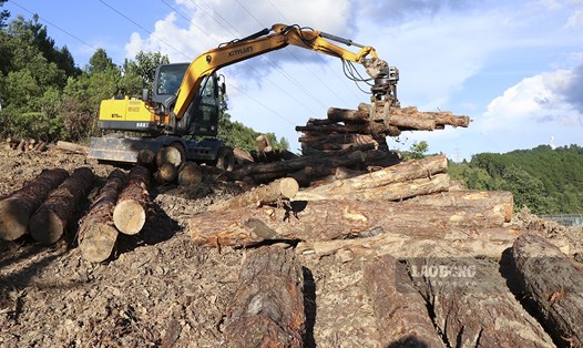 Cơ quan CSĐT Công an tỉnh Điện Biên vừa tiến hành bắt tạm giam 2 đối tượng Liên quan đến vụ phá rừng trên đỉnh Pha Đin. Ảnh: Văn Thành Chương