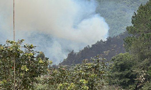 Cháy rừng tại xã Vĩnh Thực, Tp Móng Cái ngày 17.12.2022. Ảnh: Đoàn Hưng