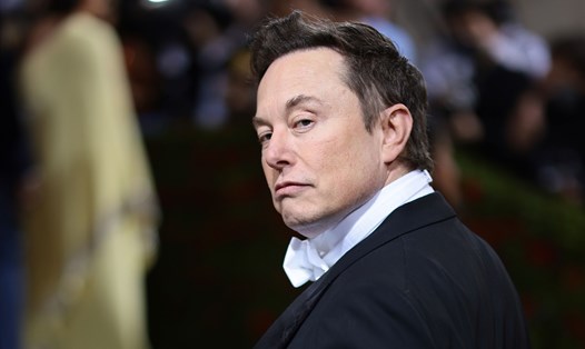 2022 là một năm thất bát đáng buồn của tỉ phú Elon Musk. Ảnh: AFP