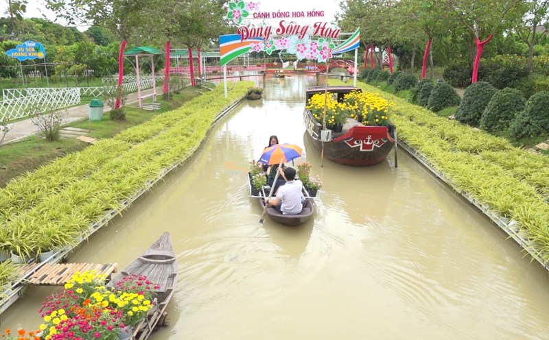 Khách tham quan thích thú trải nghiệm bơi xuồng hoa tại điểm du lịch Cánh đồng hoa hồng. Ảnh: Thanh Nghĩa