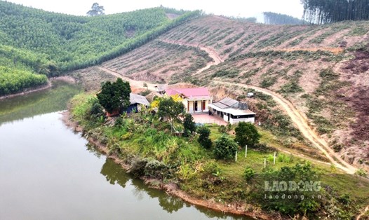Công trình trái phép trên đất lâm nghiệp trên phần đất của ông Bùi Quang Nguyên - Phó Chủ tịch HĐND xã Tân Lợi. Ảnh: Nguyễn Kiên