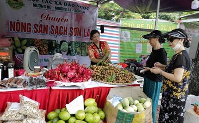 Gian hàng nông sản huyện Mường La (Sơn La) trong Tuần hàng tư vấn, giới thiệu và bán sản phẩm OCOP Hà Nội 2022. Ảnh: TTXVN