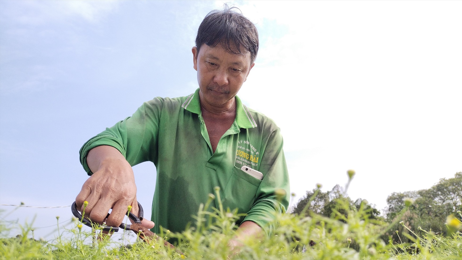 Chăm sóc hoa chuẩn bị cho vụ Tết Nguyên đán 2023 tại Làng hoa Sa Đéc. Ảnh: Thanh Nghĩa