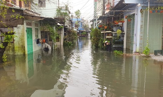 Nhiều nơi ở Quảng Nam ngập úng do mưa lớn kéo dài. Ảnh: Thanh Chung