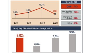 Kinh tế Việt Nam phục hồi mạnh mẽ, GDP tăng trên 8%