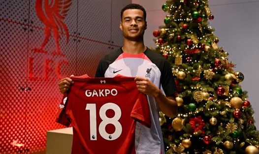 Gakpo là sự bổ sung quan trọng của Liverpool.  Ảnh: AFP