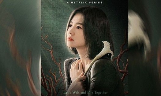 Khán giả đặt kỳ vọng vào Song Hye Kyo sau nhiều ồn ào tình ái. Ảnh: Netflix