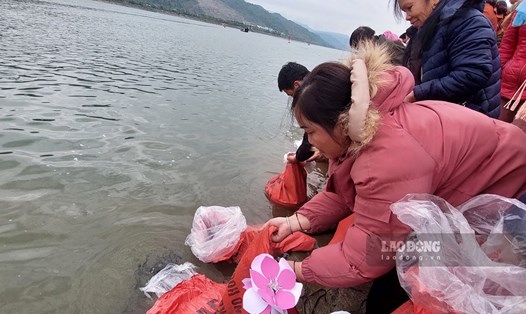 Khoảng 7 vạn con cá giống đã được thả xuống lòng hồ Thủy điện Sơn La tại Thị xã Mường Lay, tỉnh Điện Biên. Ảnh: Văn Thành Chương