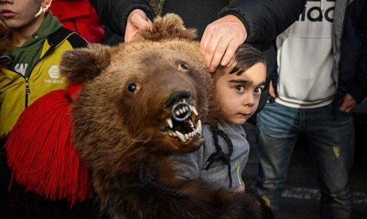 Em bé mặc trang phục hình gấu ở Comanesti, Romania. Ảnh: AFP