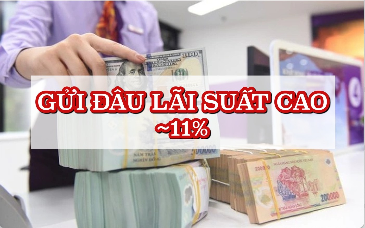 Đồ hoạ: Trà My